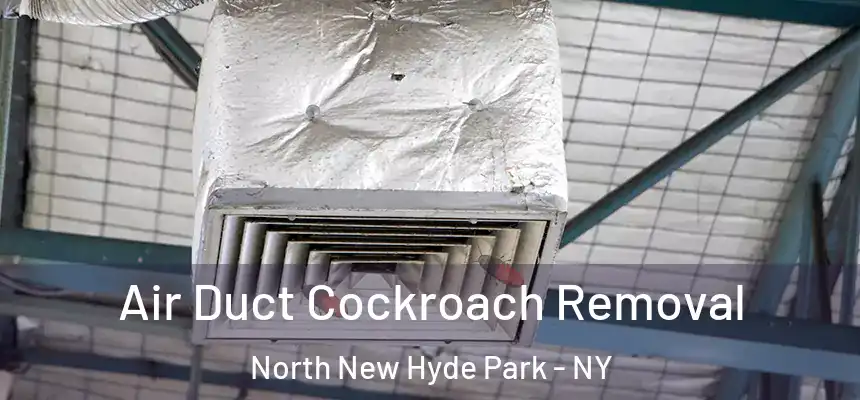  Air Duct Cockroach Removal North New Hyde Park - NY