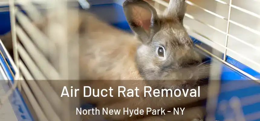  Air Duct Rat Removal North New Hyde Park - NY