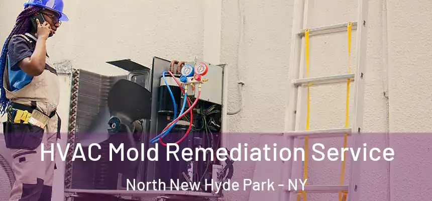  HVAC Mold Remediation Service North New Hyde Park - NY