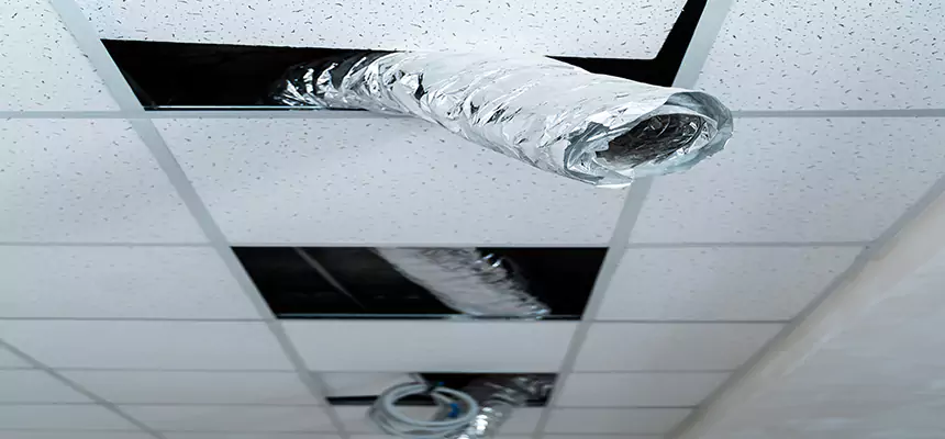 Our Air Duct Pet Hair Removal Services in North New Hyde Park, NY