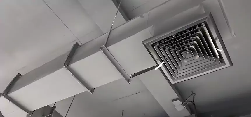 Our Pest Removal From Ducts Services in North New Hyde Park, NY