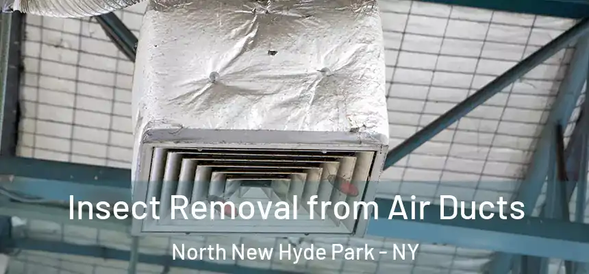 Insect Removal from Air Ducts North New Hyde Park - NY