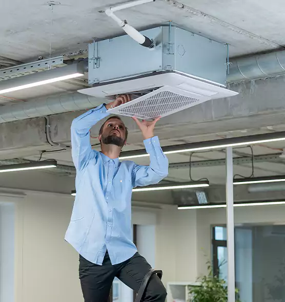Advanced Rodent Droppings In Vents in North New Hyde Park, NY